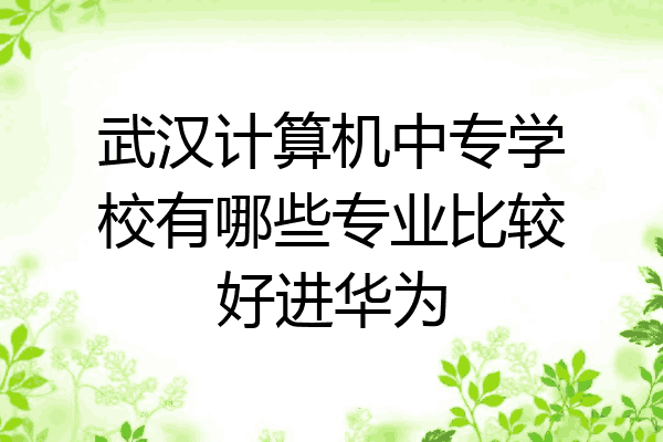 武汉计算机中专学校有哪些专业比较好进华为