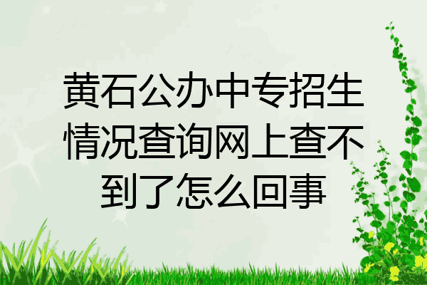 黄石公办中专招生情况查询网上查不到了怎么回事