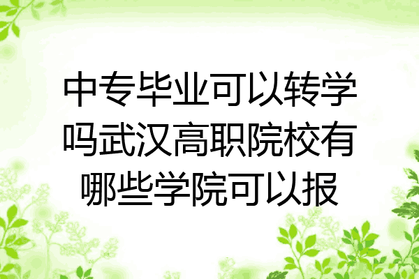 中专毕业可以转学吗武汉高职院校有哪些学院可以报