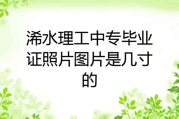 浠水理工中专毕业证照片图片是几寸的