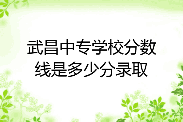 武昌中专学校分数线是多少分录取