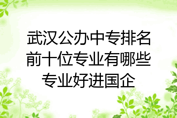 武汉公办中专排名前十位专业有哪些专业好进国企