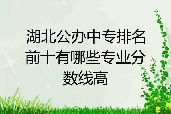 湖北公办中专排名前十有哪些专业分数线高