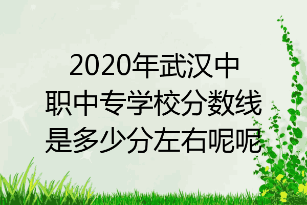 2020年武汉中职中专学校分数线是多少分左右呢呢