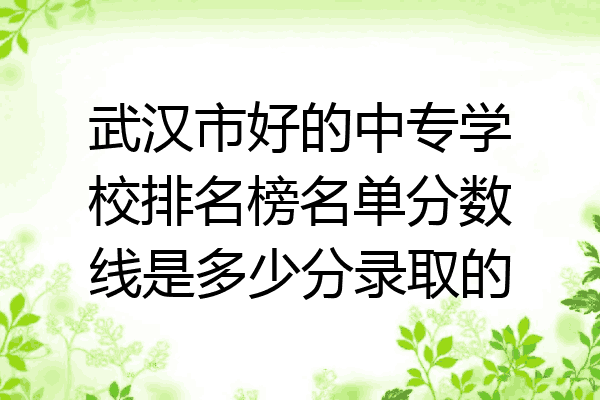 武汉市好的中专学校排名榜名单分数线是多少分录取的