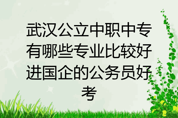 武汉公立中职中专有哪些专业比较好进国企的公务员好考
