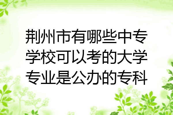 荆州市有哪些中专学校可以考的大学专业是公办的专科