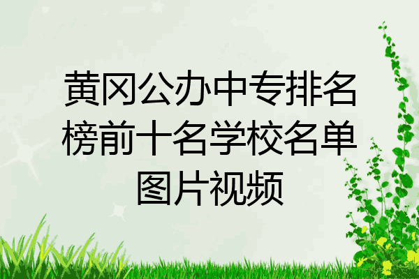 黄冈公办中专排名榜前十名学校名单图片视频