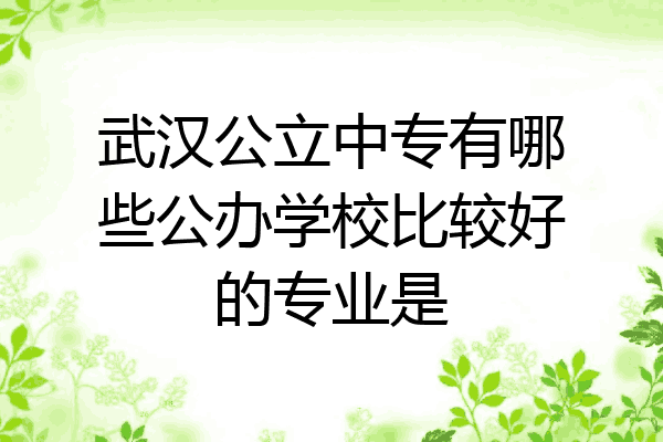 武汉公立中专有哪些公办学校比较好的专业是