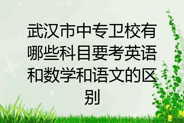 武汉市中专卫校有哪些科目要考英语和数学和语文的区别