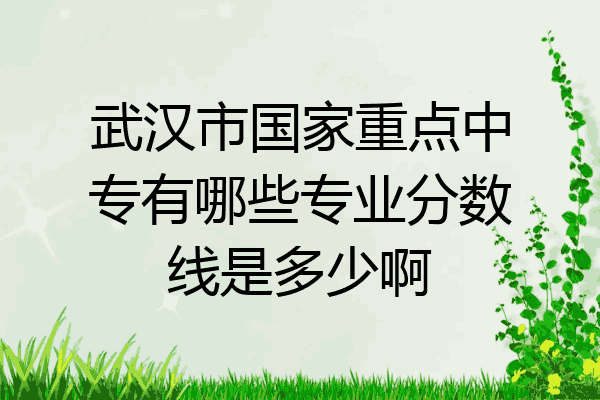 武汉市国家重点中专有哪些专业分数线是多少啊