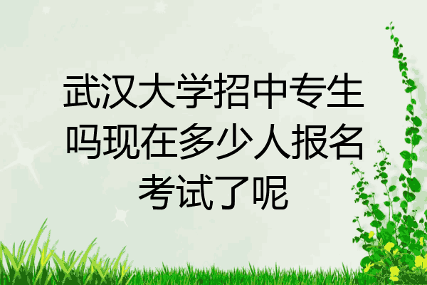 武汉大学招中专生吗现在多少人报名考试了呢