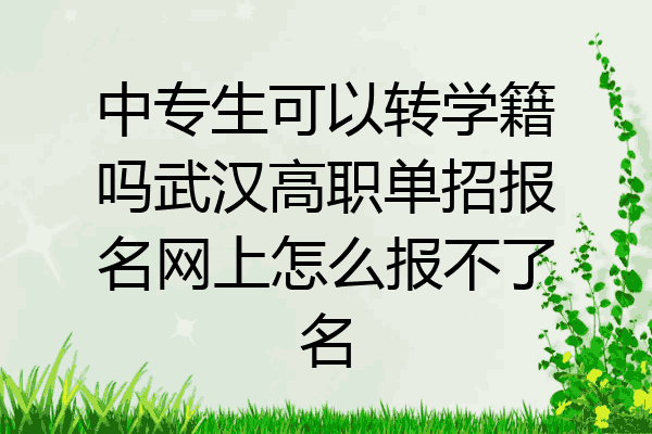 中专生可以转学籍吗武汉高职单招报名网上怎么报不了名