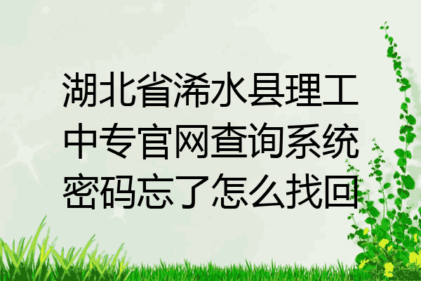 湖北省浠水县理工中专官网查询系统密码忘了怎么找回