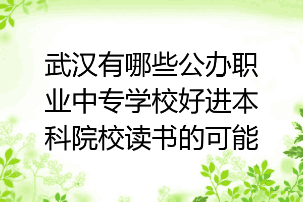 武汉有哪些公办职业中专学校好进本科院校读书的可能