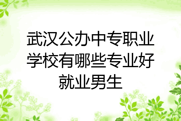 武汉公办中专职业学校有哪些专业好就业男生