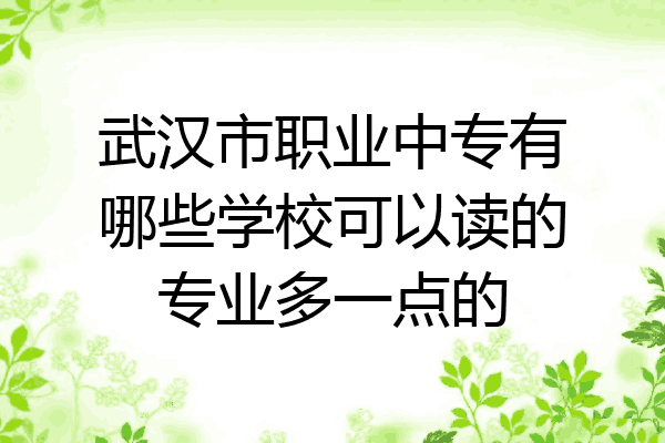 武汉市职业中专有哪些学校可以读的专业多一点的