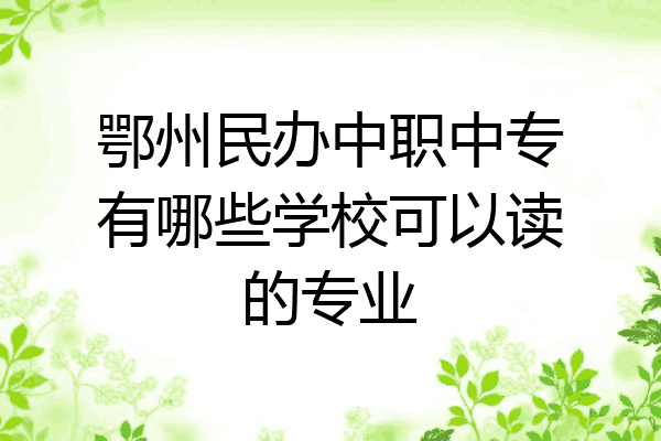 鄂州民办中职中专有哪些学校可以读的专业