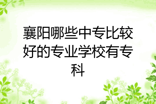 襄阳哪些中专比较好的专业学校有专科