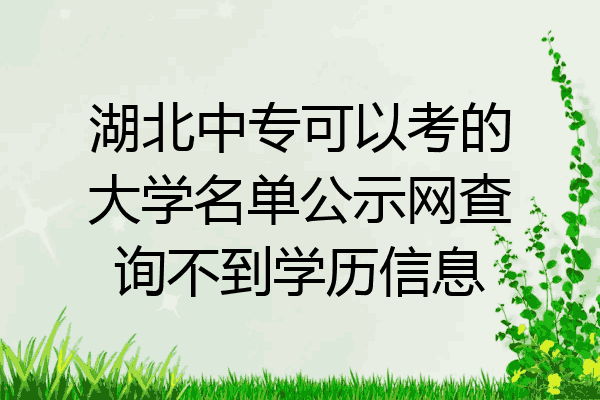 湖北中专可以考的大学名单公示网查询不到学历信息