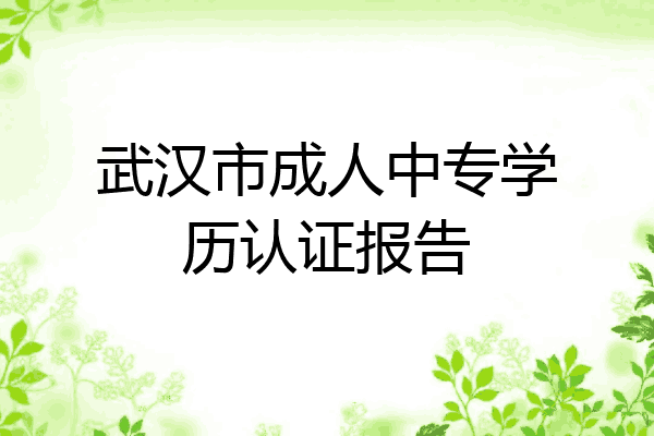 武汉市成人中专学历认证报告