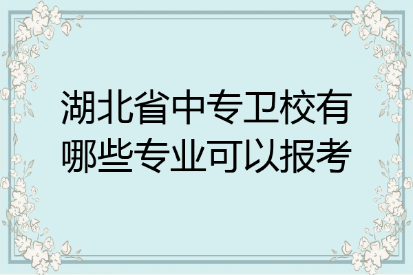 湖北省中专卫校有哪些专业可以报考