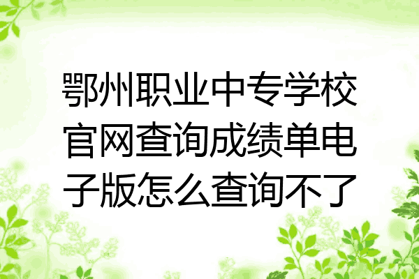 鄂州职业中专学校官网查询成绩单电子版怎么查询不了