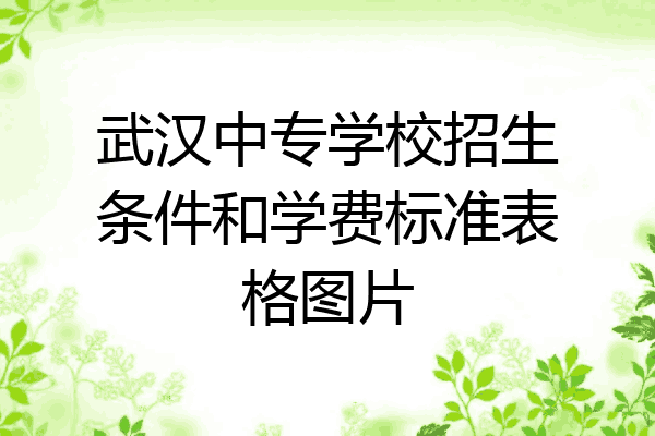武汉中专学校招生条件和学费标准表格图片