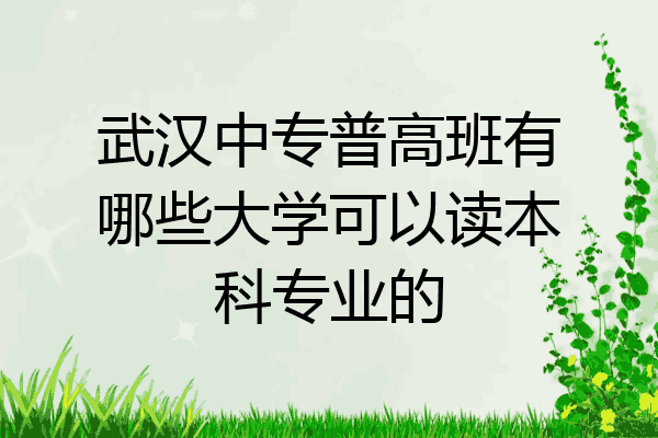 武汉中专普高班有哪些大学可以读本科专业的