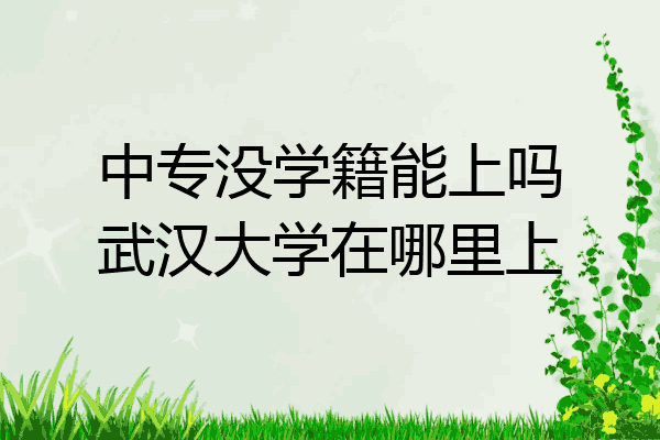 中专没学籍能上吗武汉大学在哪里上