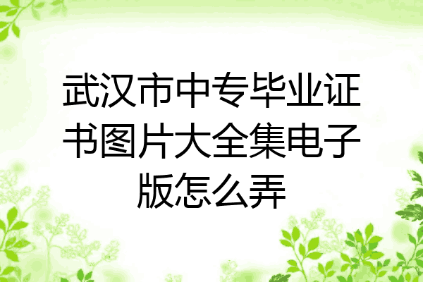 武汉市中专毕业证书图片大全集电子版怎么弄
