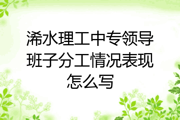 浠水理工中专领导班子分工情况表现怎么写