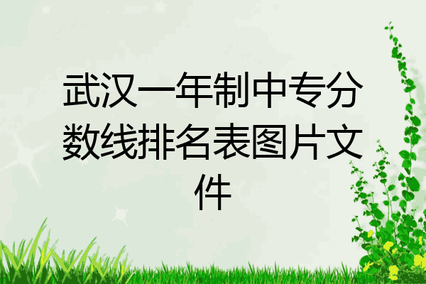 武汉一年制中专分数线排名表图片文件