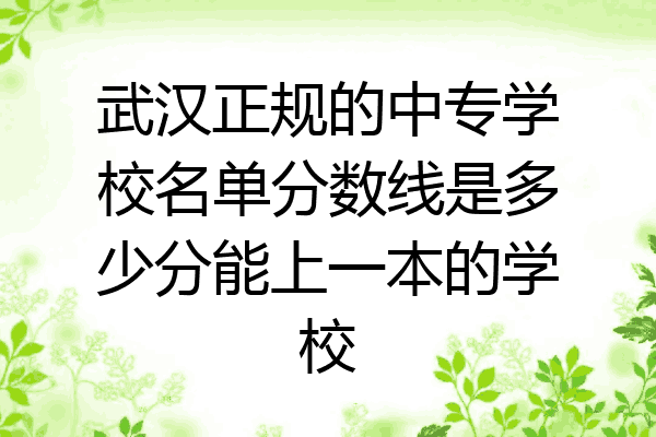 武汉正规的中专学校名单分数线是多少分能上一本的学校