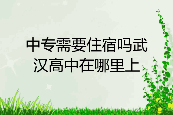 中专需要住宿吗武汉高中在哪里上