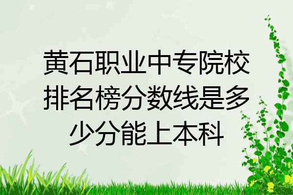 黄石职业中专院校排名榜分数线是多少分能上本科