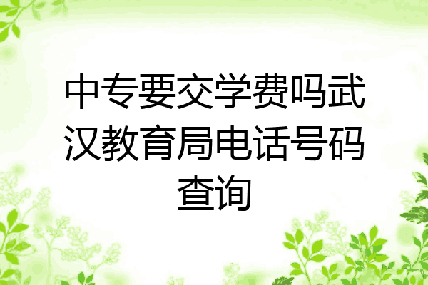 中专要交学费吗武汉教育局电话号码查询