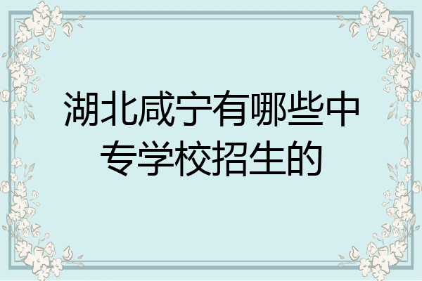 湖北咸宁有哪些中专学校招生的