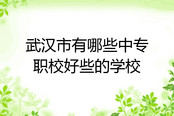武汉市有哪些中专职校好些的学校