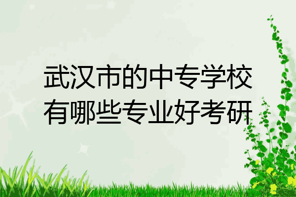 武汉市的中专学校有哪些专业好考研