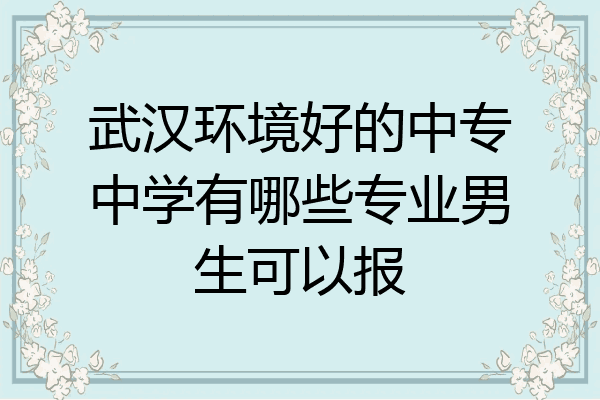武汉环境好的中专中学有哪些专业男生可以报
