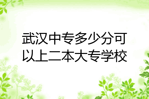 武汉中专多少分可以上二本大专学校