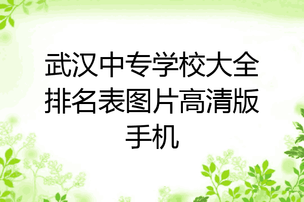 武汉中专学校大全排名表图片高清版手机