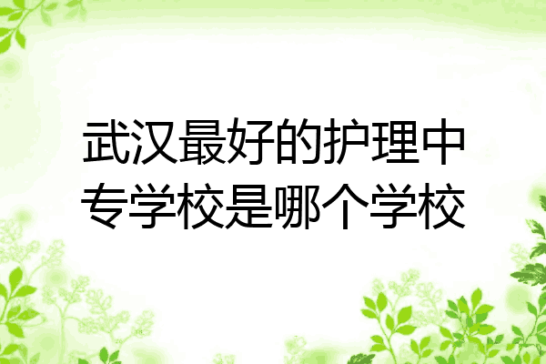 武汉最好的护理中专学校是哪个学校