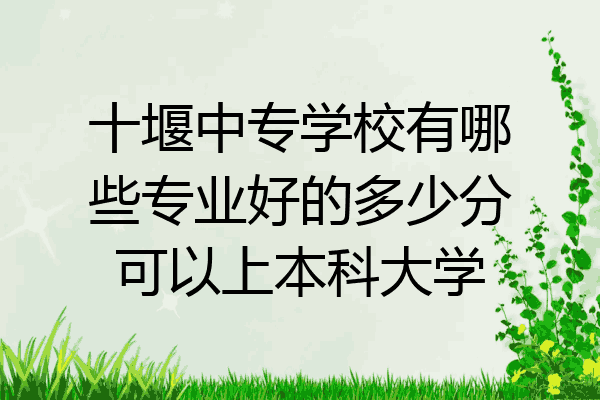 十堰中专学校有哪些专业好的多少分可以上本科大学
