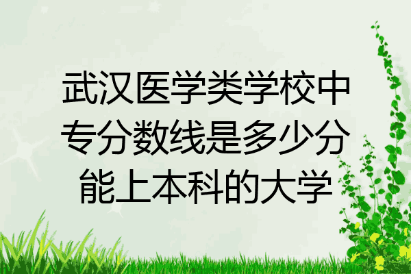 武汉医学类学校中专分数线是多少分能上本科的大学