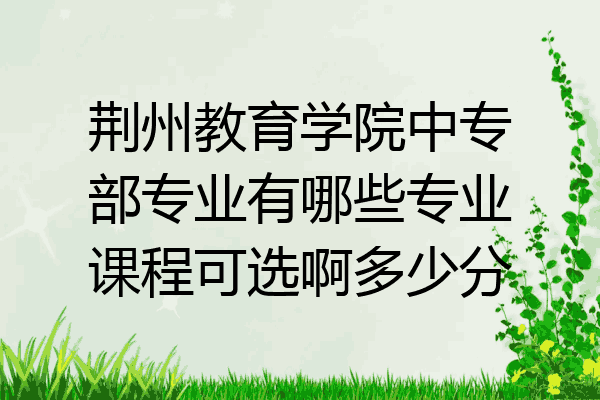 荆州教育学院中专部专业有哪些专业课程可选啊多少分