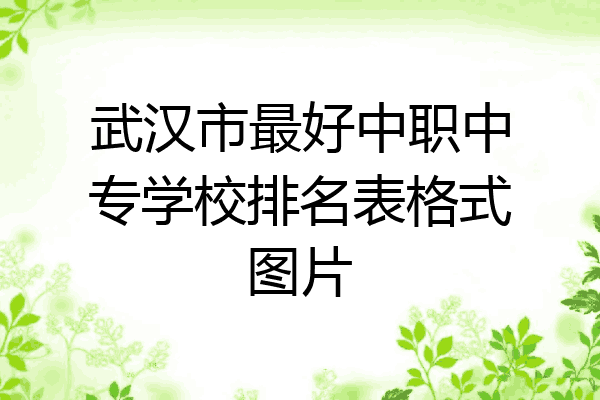 武汉市最好中职中专学校排名表格式图片