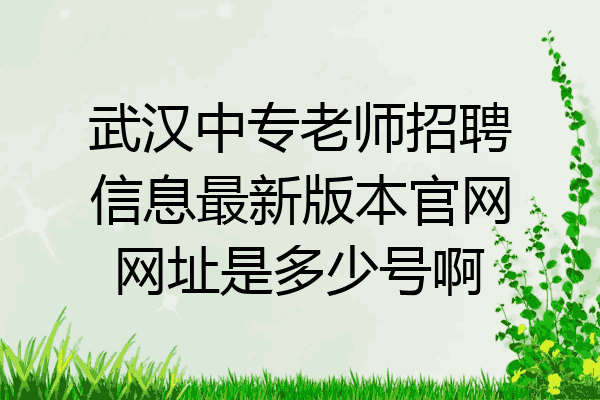 武汉中专老师招聘信息最新版本官网网址是多少号啊