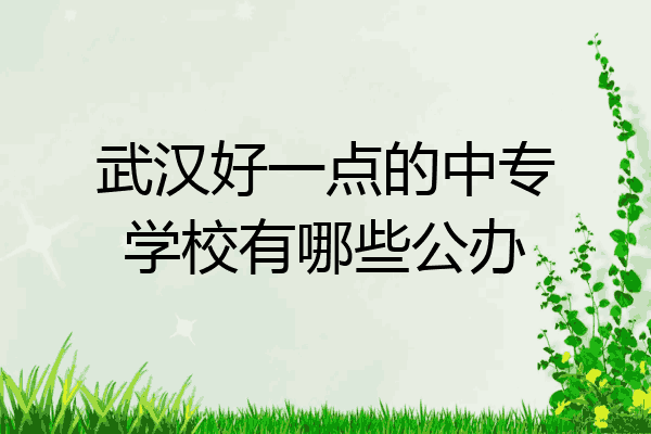 武汉好一点的中专学校有哪些公办